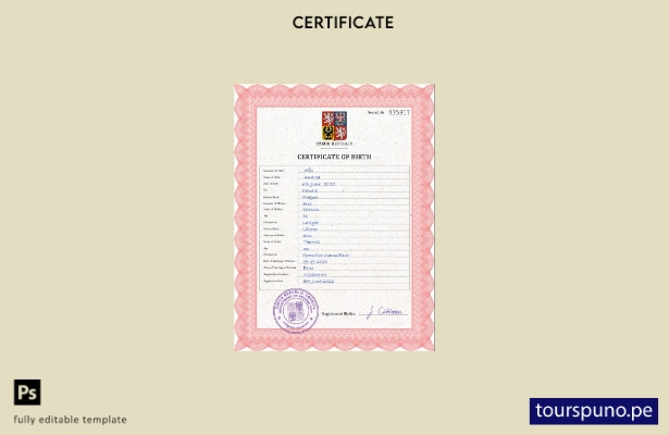 listo para imprimir plantilla PSD de certificado de nacimiento de registro ci 15